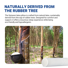 Load image into Gallery viewer, Natural Latex Bolster