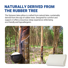 Load image into Gallery viewer, Natural Latex Pillow