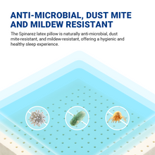 Load image into Gallery viewer, Natural Latex Pillow